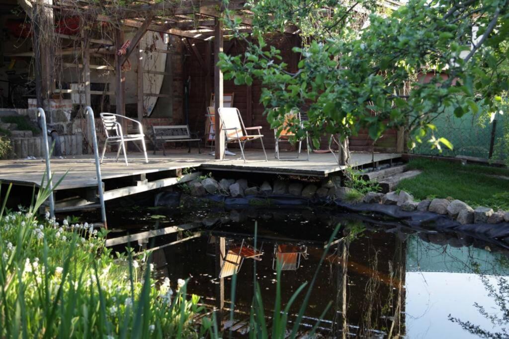 Ferienwohnung In Peetzig Am See 안게르문데 외부 사진