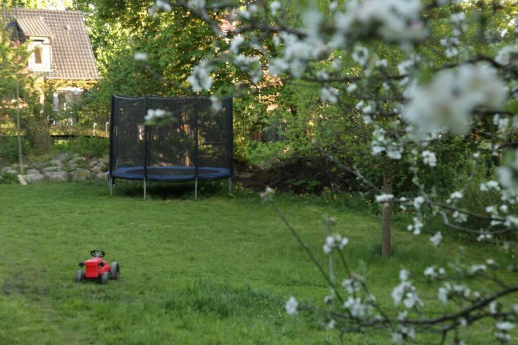 Ferienwohnung In Peetzig Am See 안게르문데 외부 사진