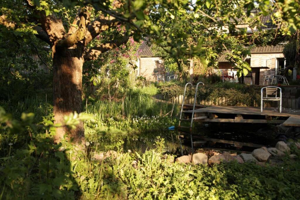 Ferienwohnung In Peetzig Am See 안게르문데 외부 사진