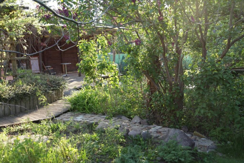 Ferienwohnung In Peetzig Am See 안게르문데 외부 사진