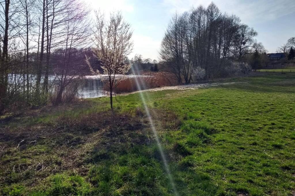 Ferienwohnung In Peetzig Am See 안게르문데 외부 사진