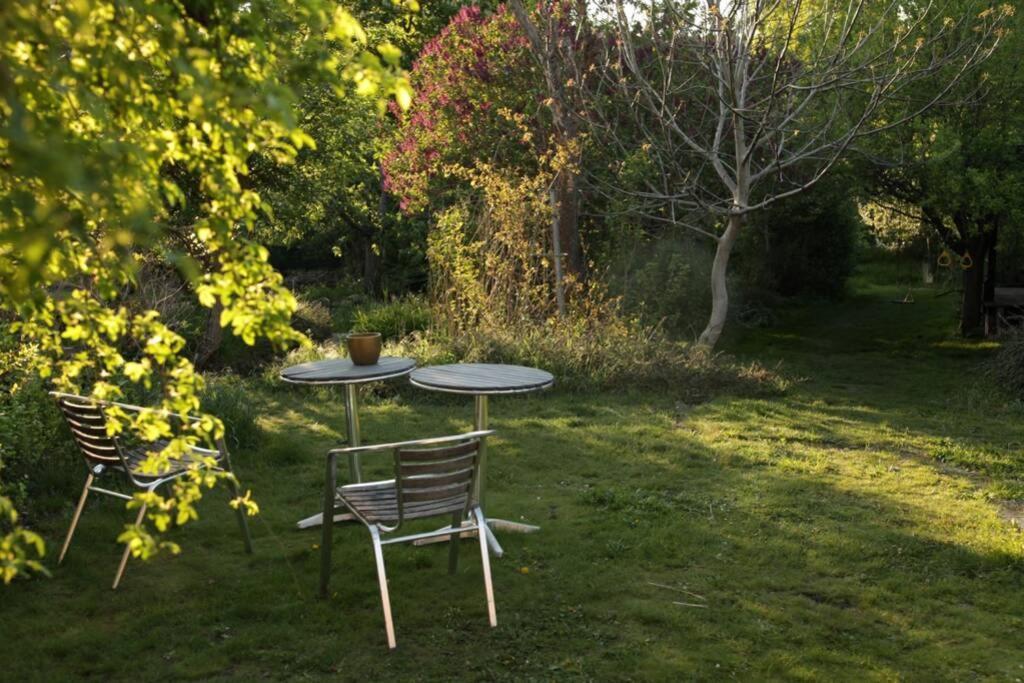 Ferienwohnung In Peetzig Am See 안게르문데 외부 사진