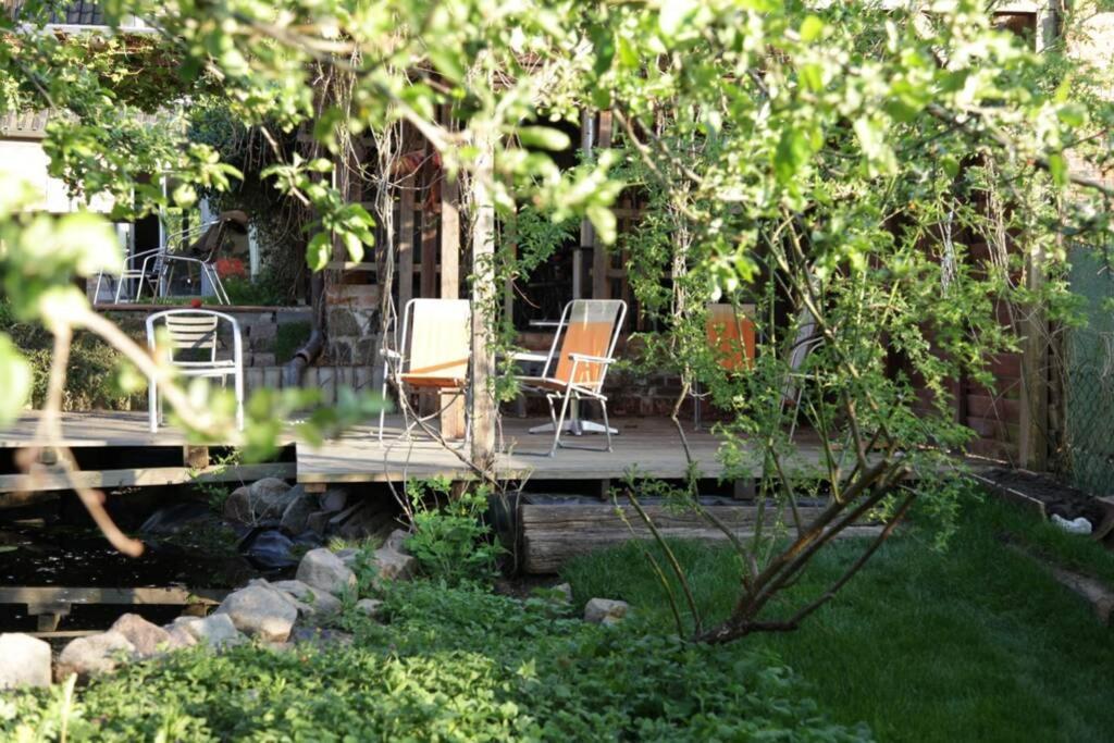 Ferienwohnung In Peetzig Am See 안게르문데 외부 사진