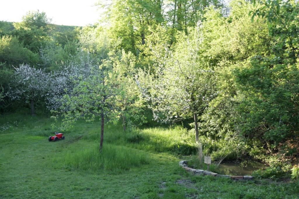 Ferienwohnung In Peetzig Am See 안게르문데 외부 사진